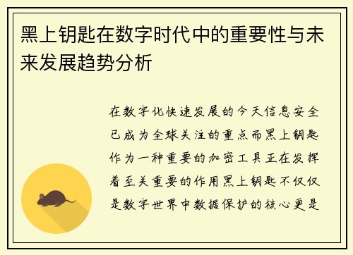 黑上钥匙在数字时代中的重要性与未来发展趋势分析
